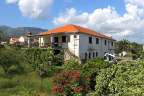 Apartments with a parking space Jelsa, Hvar - 2068